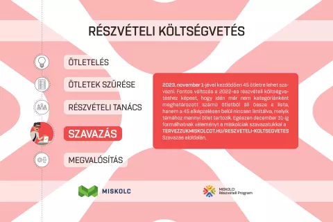reszveteli_grafikak_szavazas.png