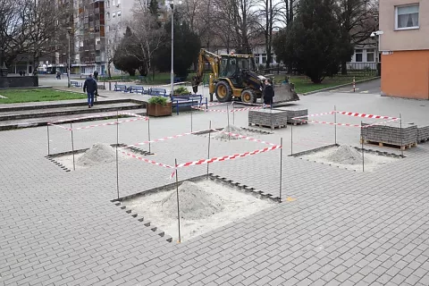 vorosmarty_fa_ultetes_elokeszites_240318ml-5.jpg